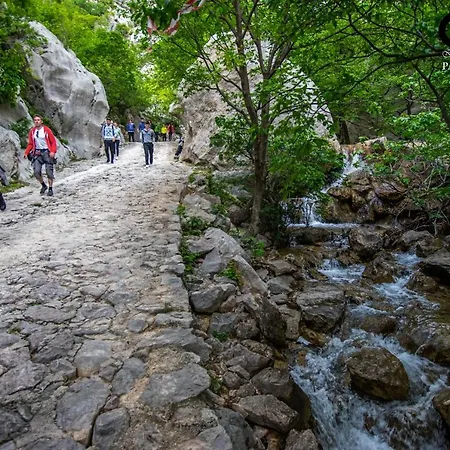 アパート Laroom *